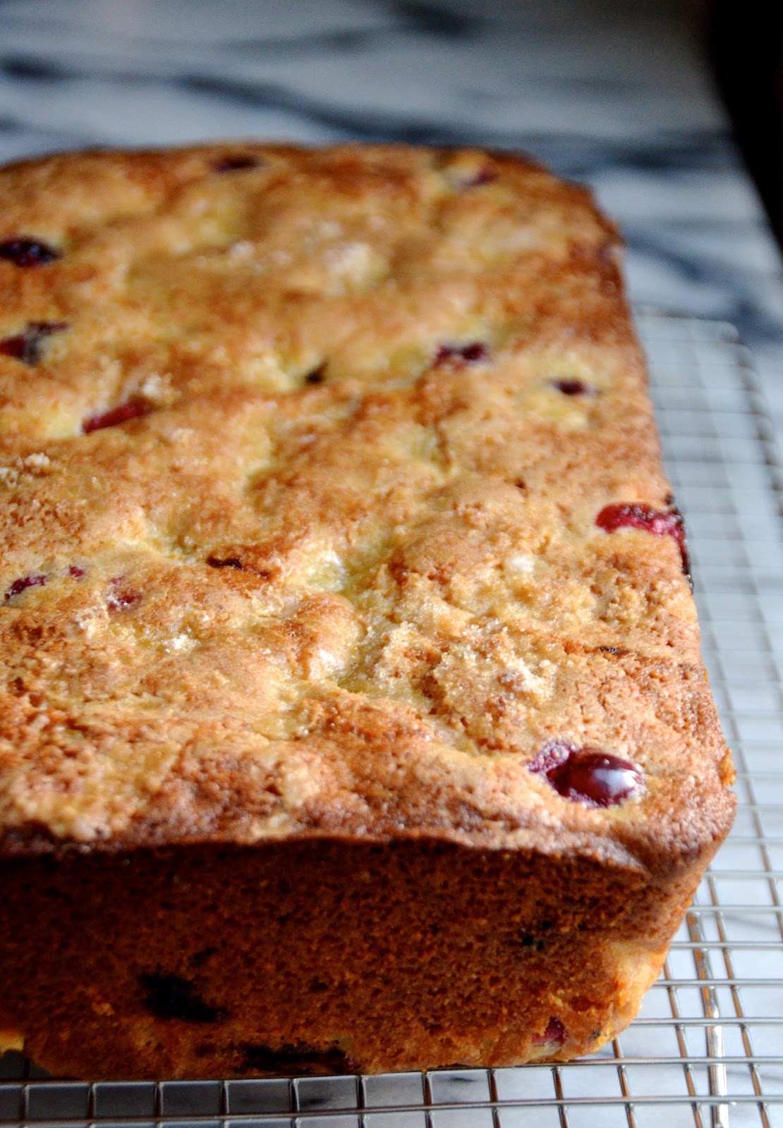 Dried Cranberry Lemon Loaf Recipe lemon dried cranberry loaf